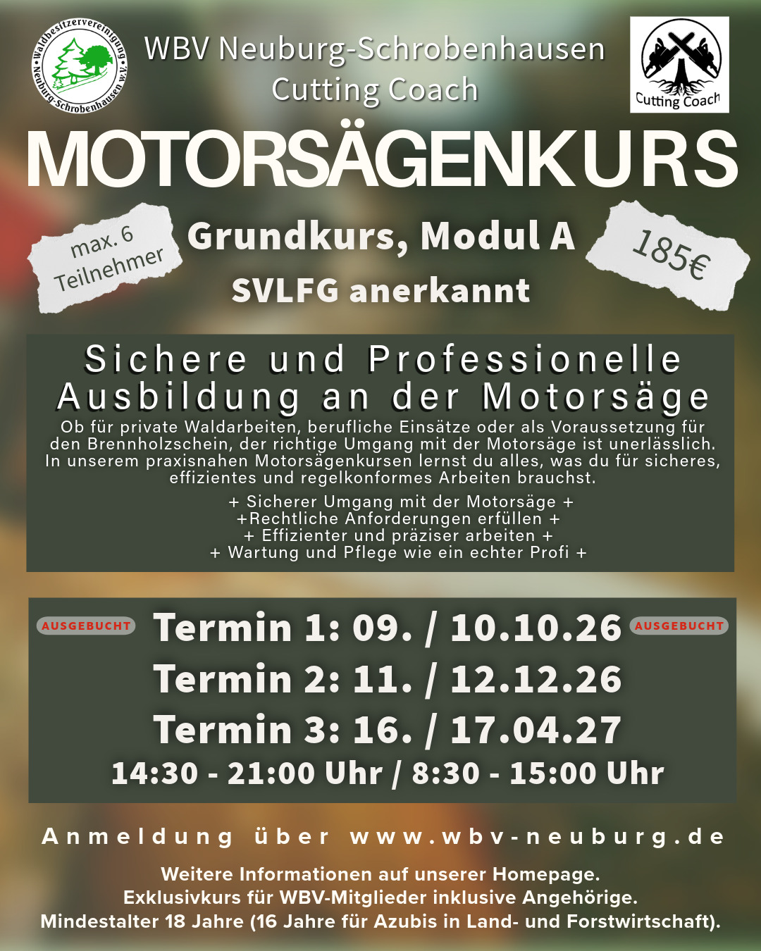 Motorsagenkurs 2a