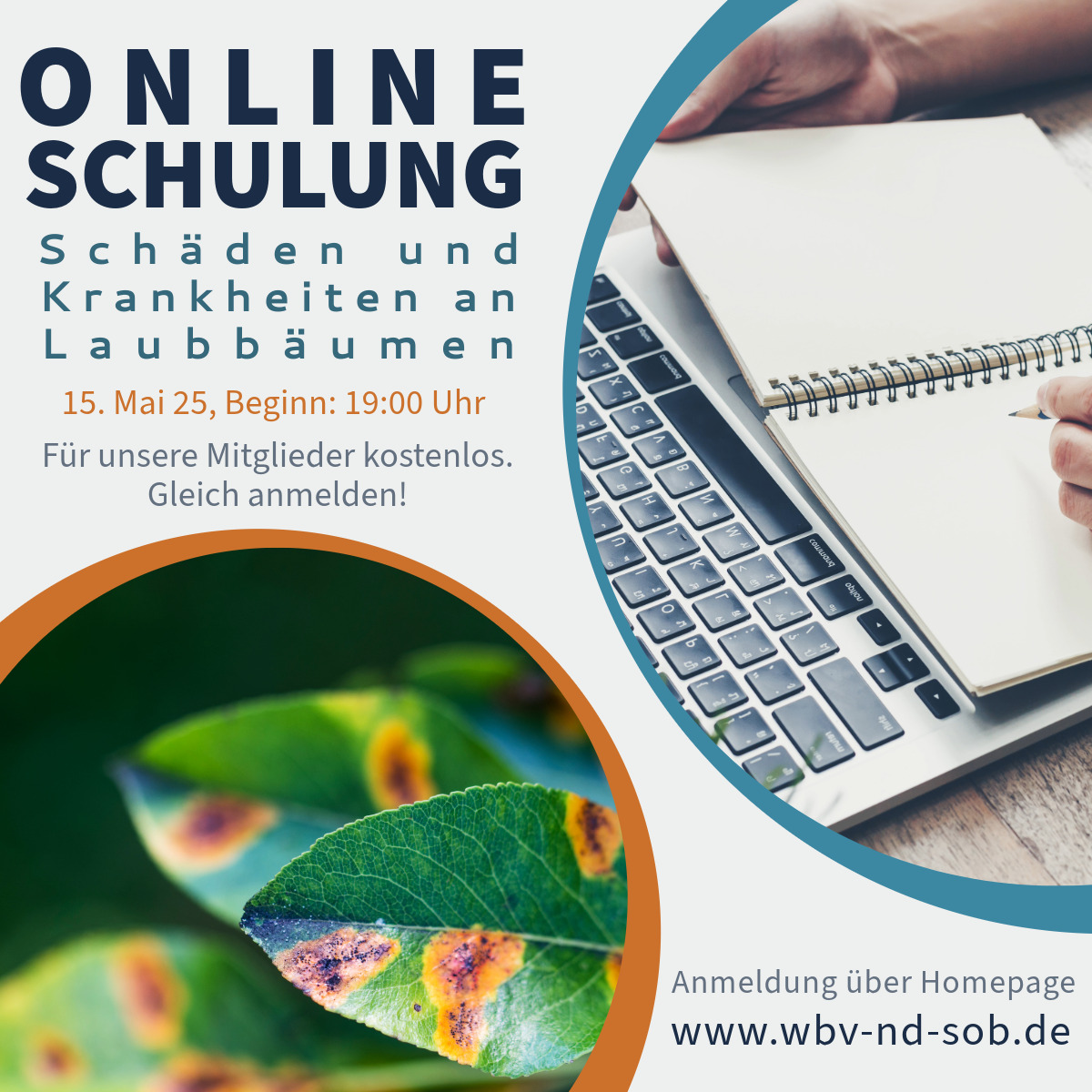 OnlineSchulung Krankheiten Laub
