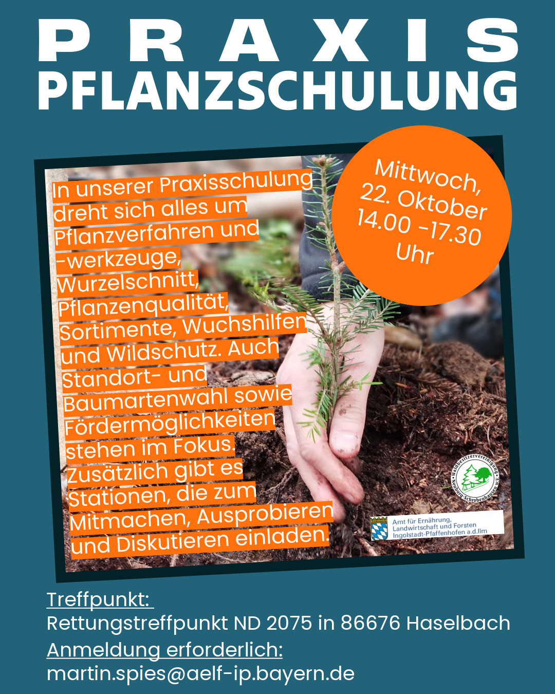 Schulung Pflanzen 2