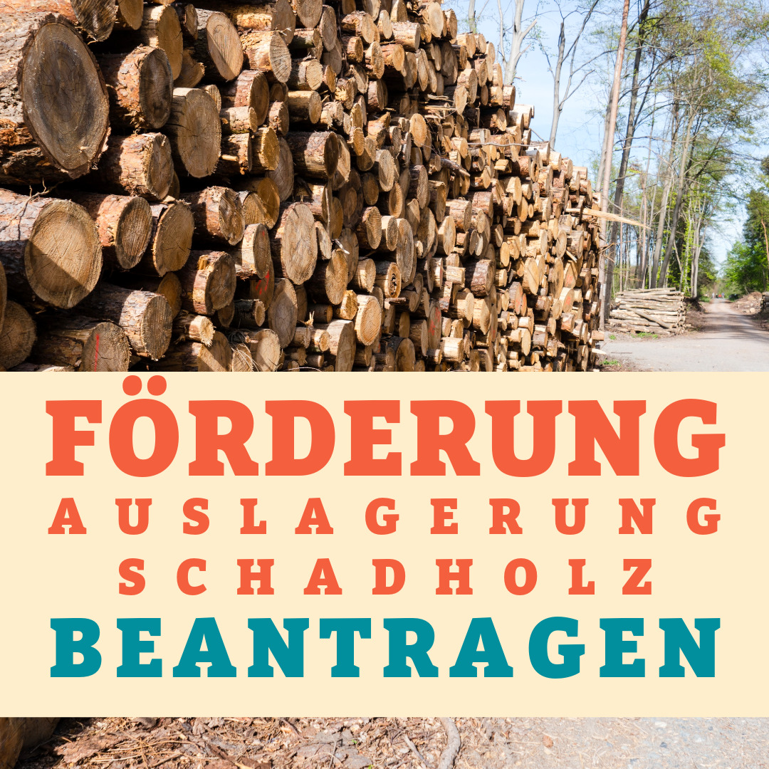 FoerderungAuslagerungSchadholz